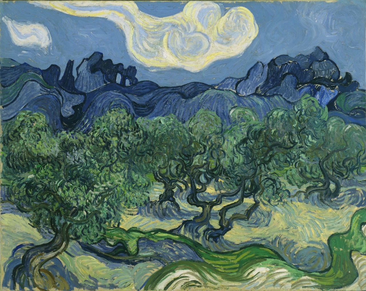 Olive Trees with the Alpilles in the Background