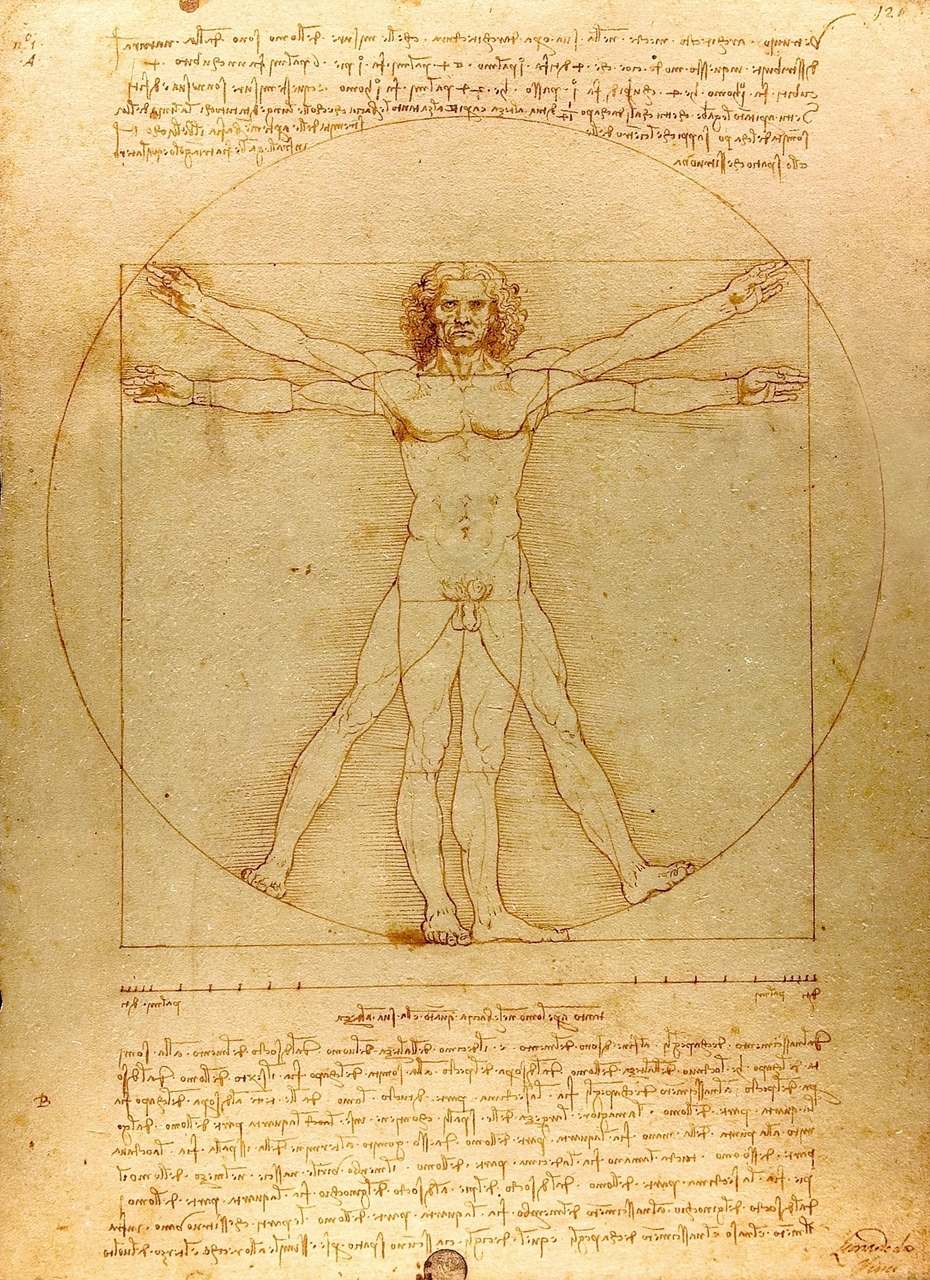 The Vitruvian Man