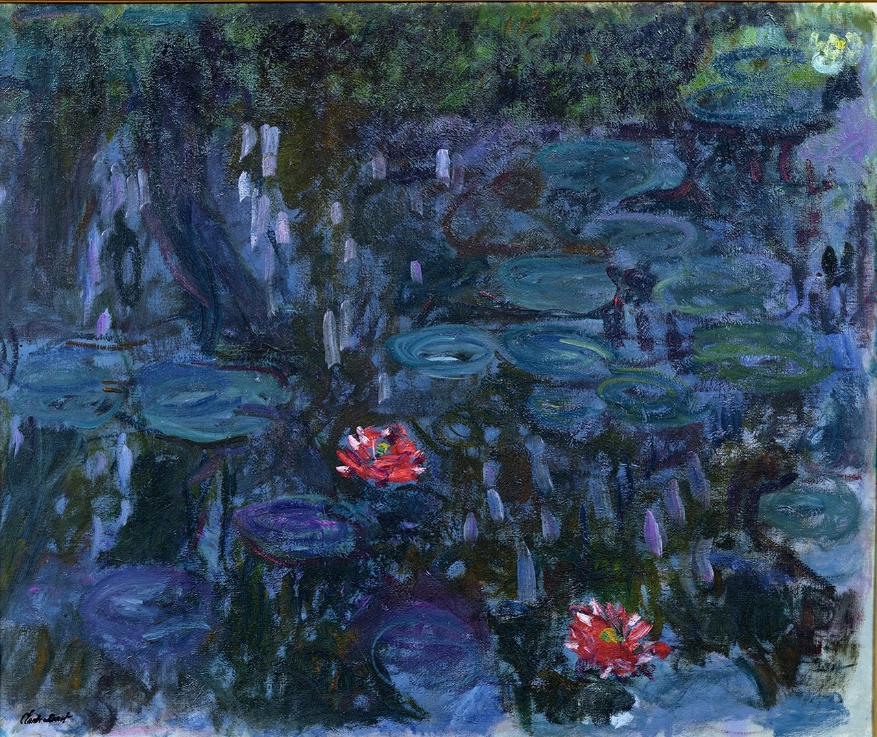Water Lilies and Reflections of a Willow