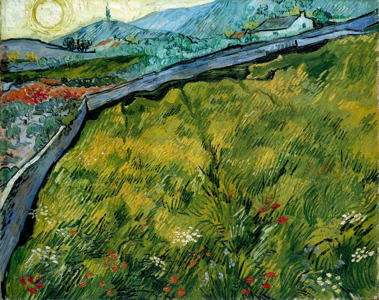 Enclosed wheat field with rising sun