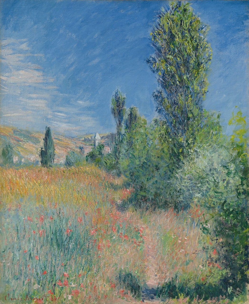 Landscape in Ile Saint-Martin
