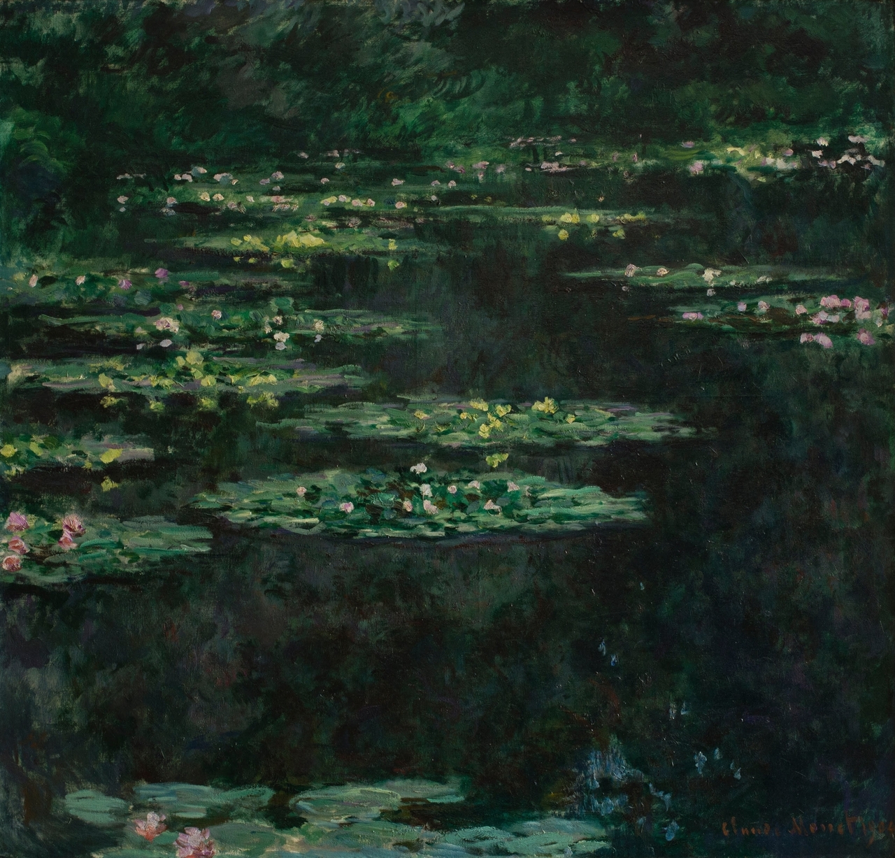 Waterlilies