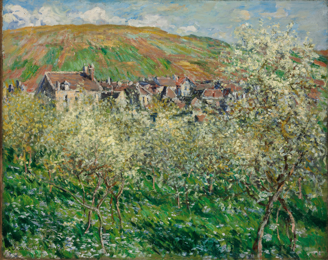 Plum Trees in Blossom